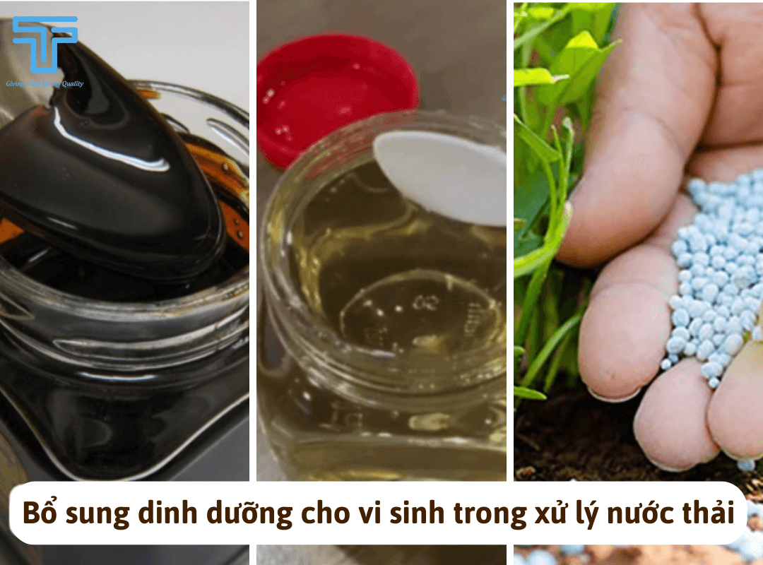 BỔ SUNG DINH DƯỠNG CHO VI SINH TRONG XỬ LÝ NƯỚC THẢI