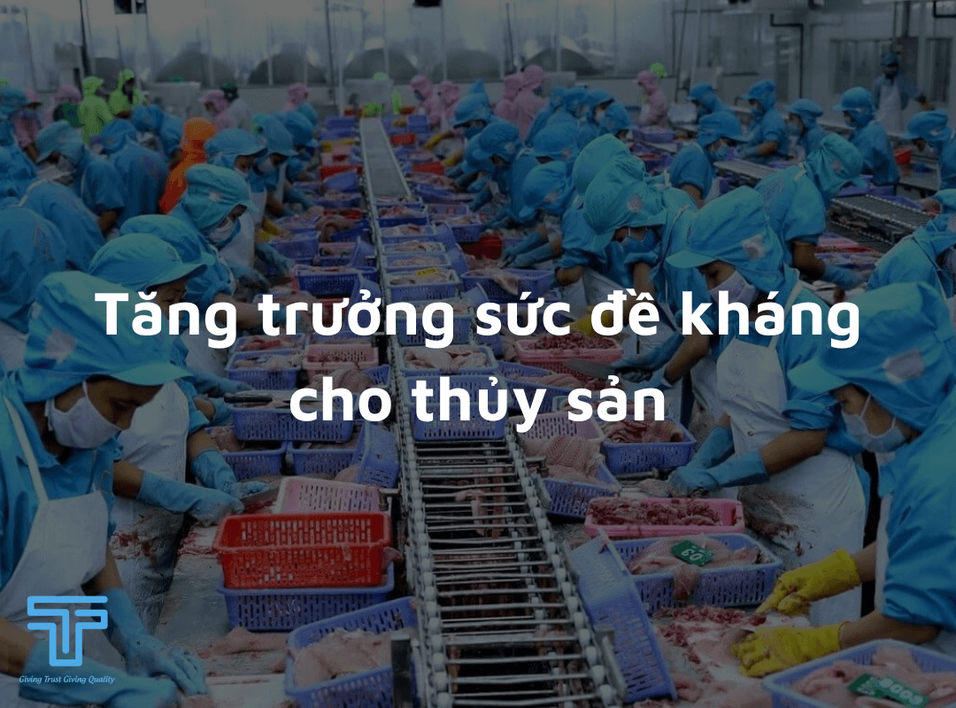 tăng cường sức đề kháng cho thủy sản